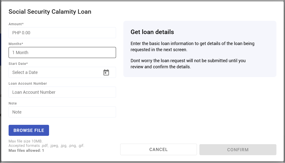 your loans and advances - screenshot 7