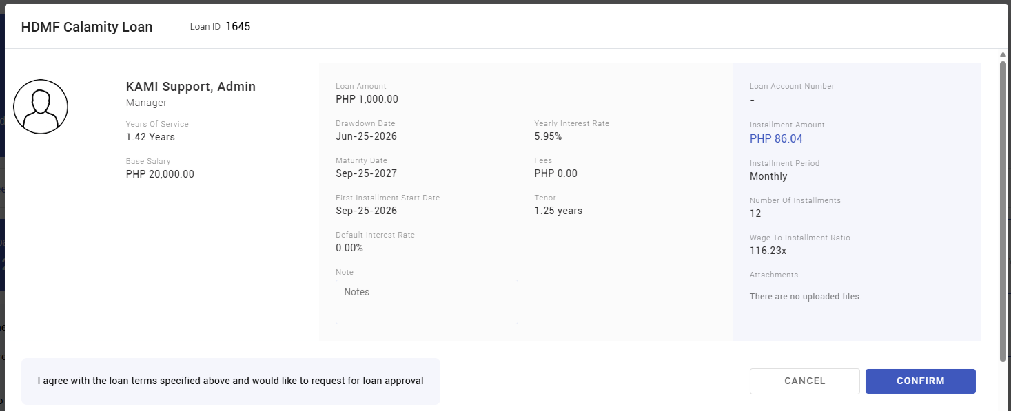 your loans and advances - screenshot 8
