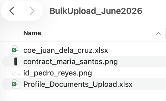 bulk documents - screenshot 2