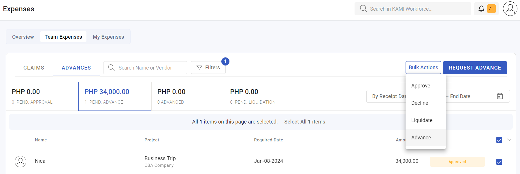 managing advances - screenshot 6