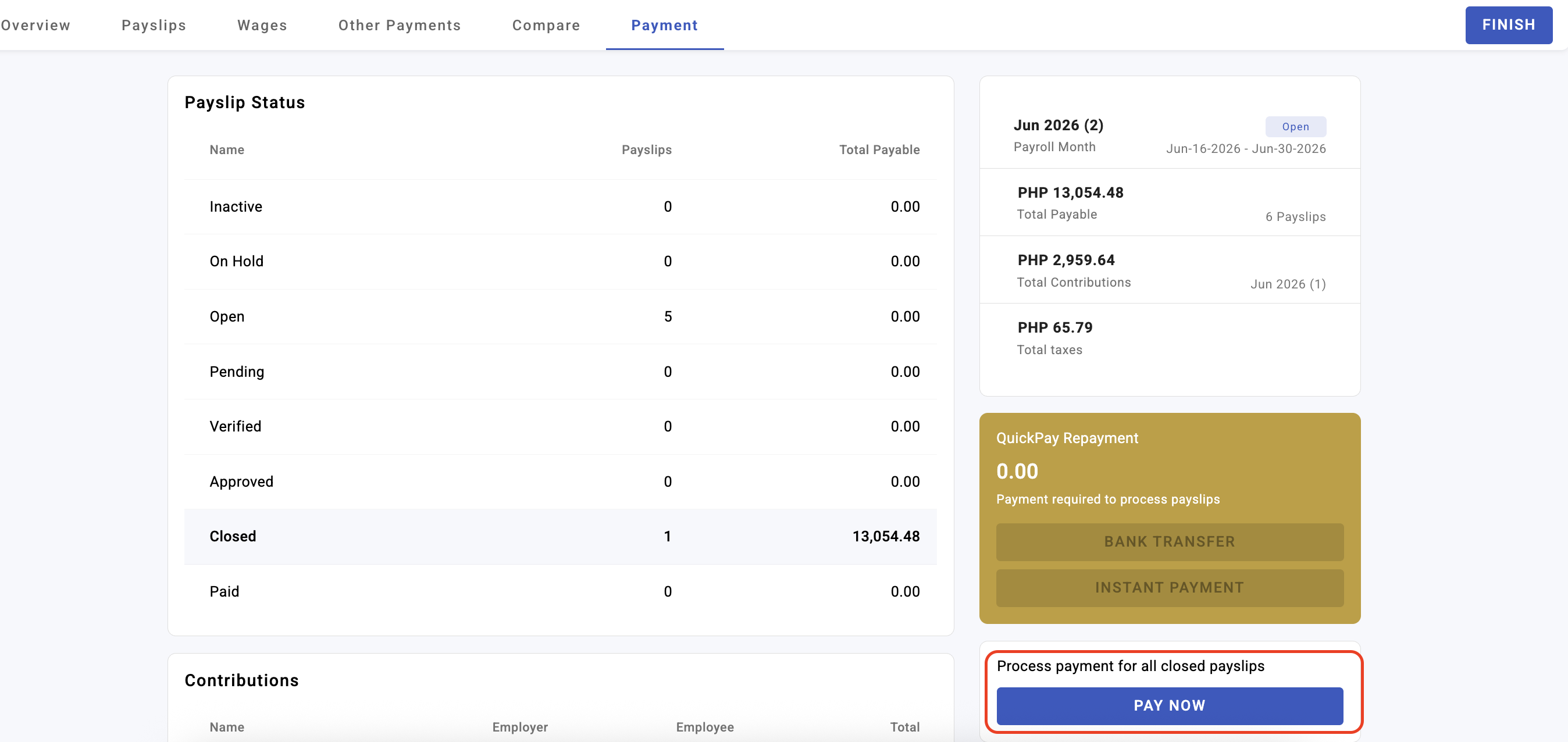 payroll payment and disbursement - screenshot 1