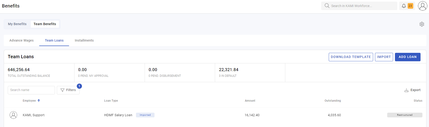 restructuring a loan - screenshot 3