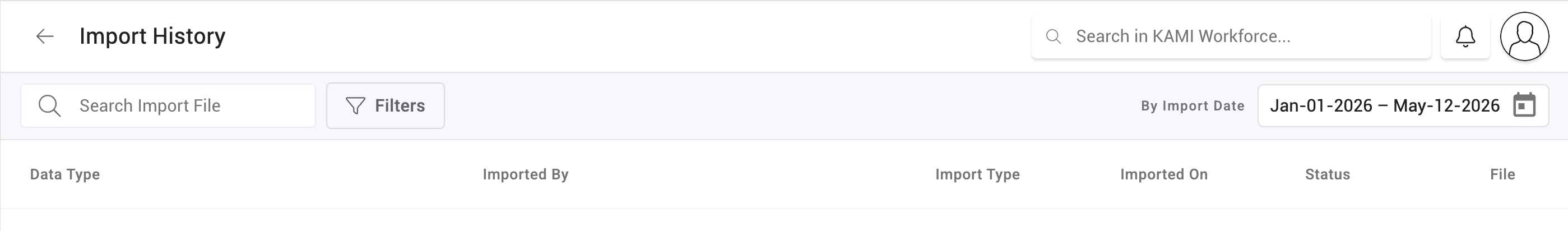 Run a Bulk Data Import - screenshot 3